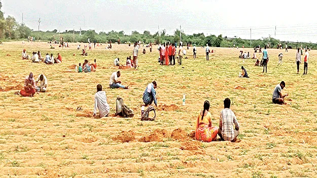 ఇంటిల్లిపాది అటువైపే