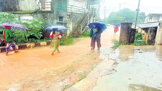 వీడని ముసురు