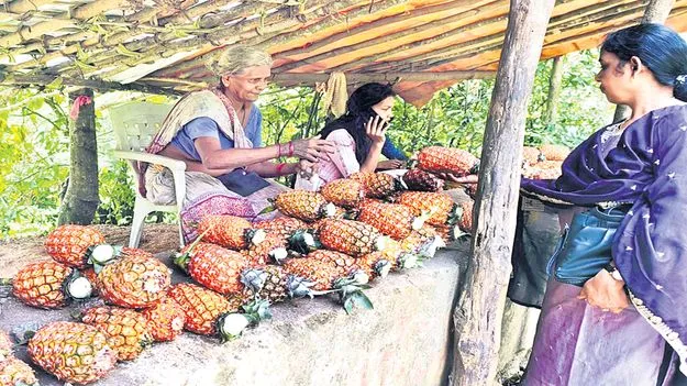 జోరుగా పైనాపిల్‌ విక్రయాలు