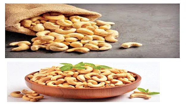 సిక్కోలు జీడికి జాతీయ గుర్తింపు