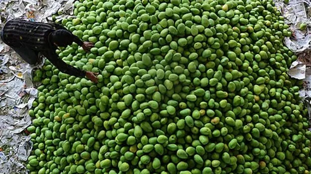 Mango Farmers: రాజకీయ లబ్ధి కోసమే వచ్చారు