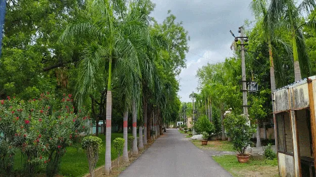 kumaram bheem asifabad- కార్మికక్షేత్రం.. ఆహ్లాదకరం 