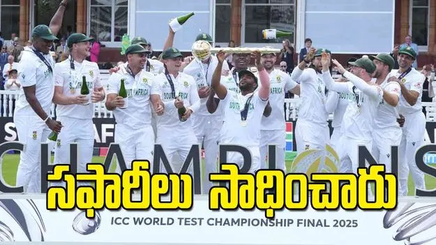 సఫారీలు  సాధించారు