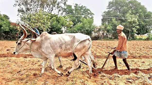 చిరుజల్లులతో సరి