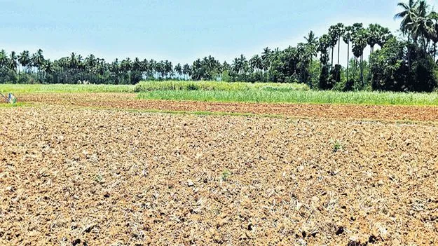 సందిగ్ధంలో చెరకు రైతు