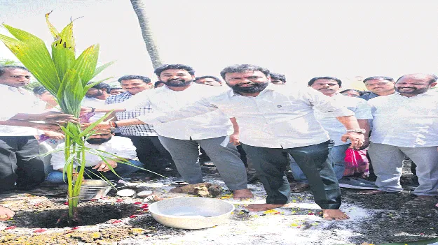 పర్యావరణ పరిరక్షణకు మొక్కలు దోహదం