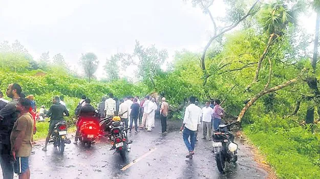 ఈదురు గాలుల బీభత్సం