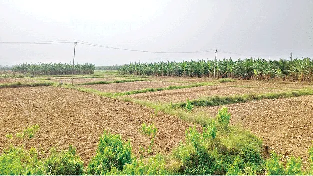   మూడోవిడతకు సమాయత్తం