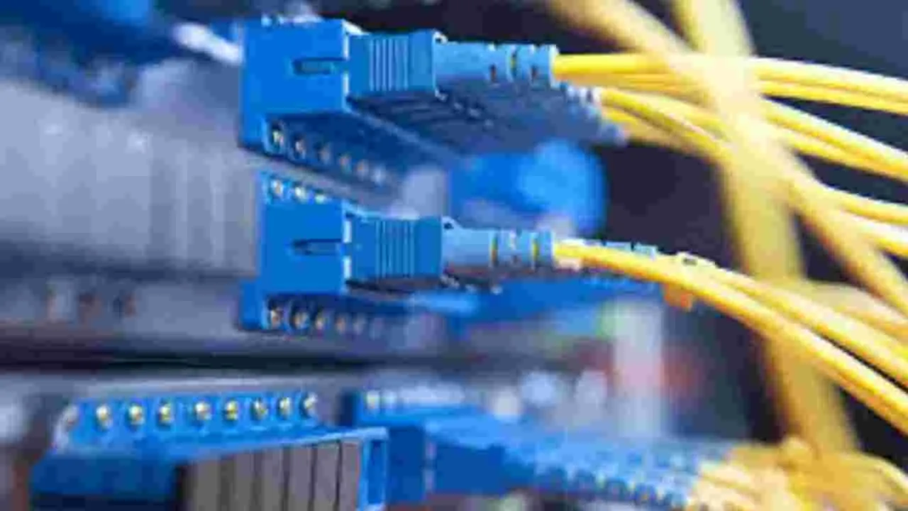 గ్రామీణ యువతకు టీ ఫైబర్‌ వ్యాపార అవకాశం