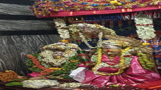 ఘనంగా పెద్దమ్మ దేవర 