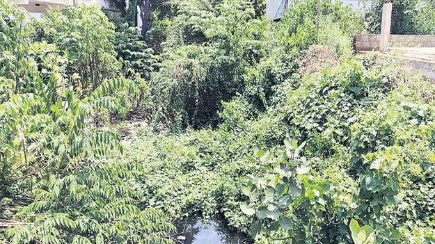 ‘భూమి’ రైతుకు నీటి కష్టాలు!