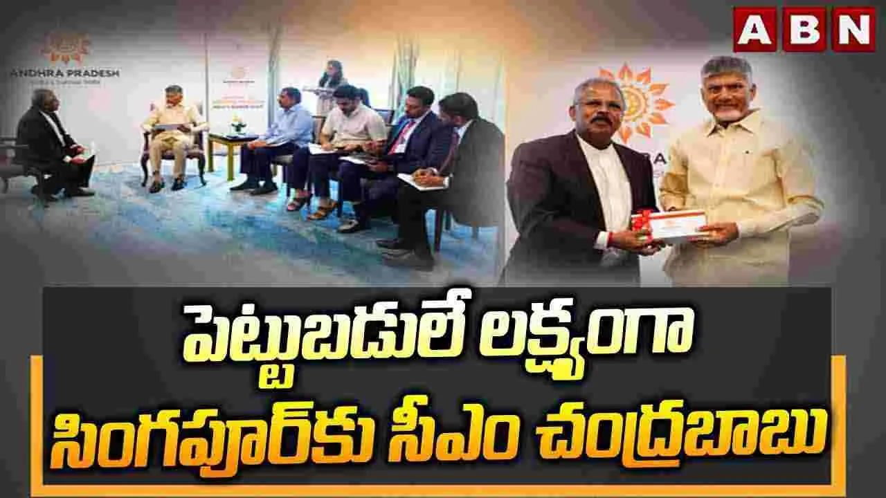 పెట్టుబడులే లక్ష్యంగా సింగపూర్‌కు సీఎం చంద్రబాబు 