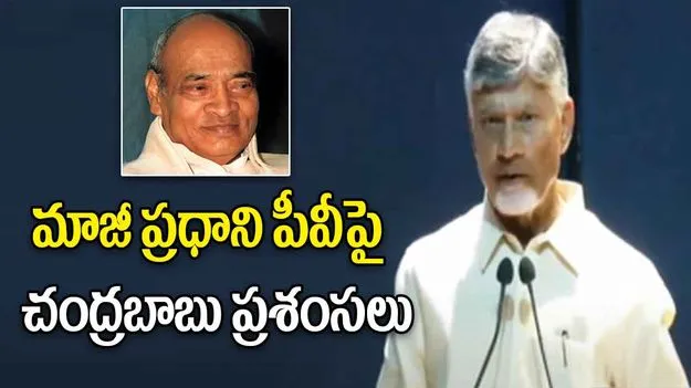 Chandrababu: మాజీ ప్రధాని పీవీ నరసింహారావు పై ఏపీ సీఎం చంద్రబాబు ప్రశంసలు