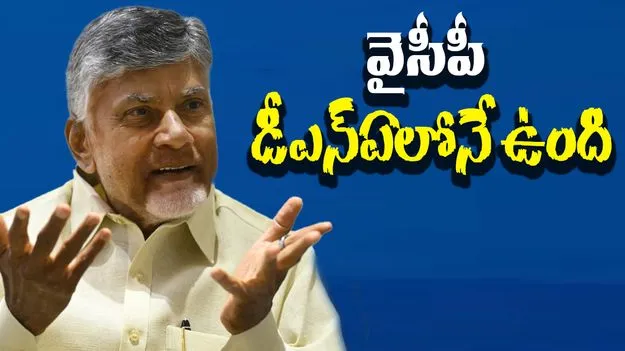 CM Chandrababu: ప్రశాంతిపై ప్రసన్న వ్యాఖ్యలు.. సీఎం చంద్రబాబు రియాక్షన్