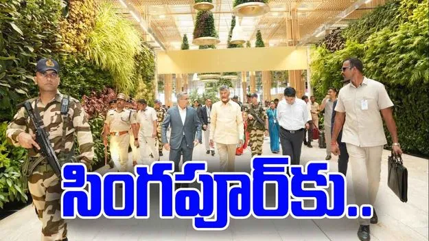 CM Chandrababu: సింగపూర్‌కు సీఎం చంద్రబాబు.. ఎప్పుడంటే..