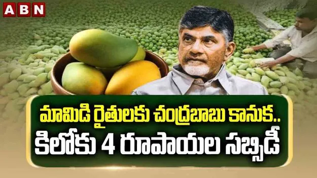AP Government: మామిడి రైతులకు చంద్రబాబు కానుక.. కిలోకు రూ.4ల సబ్సిడీ