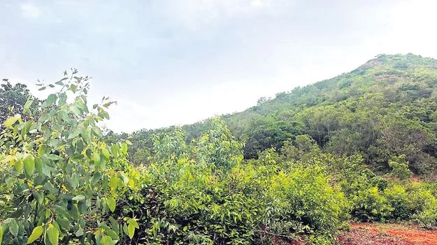 ఆటోనగర్‌పైనా వైసీపీ అక్కసు!