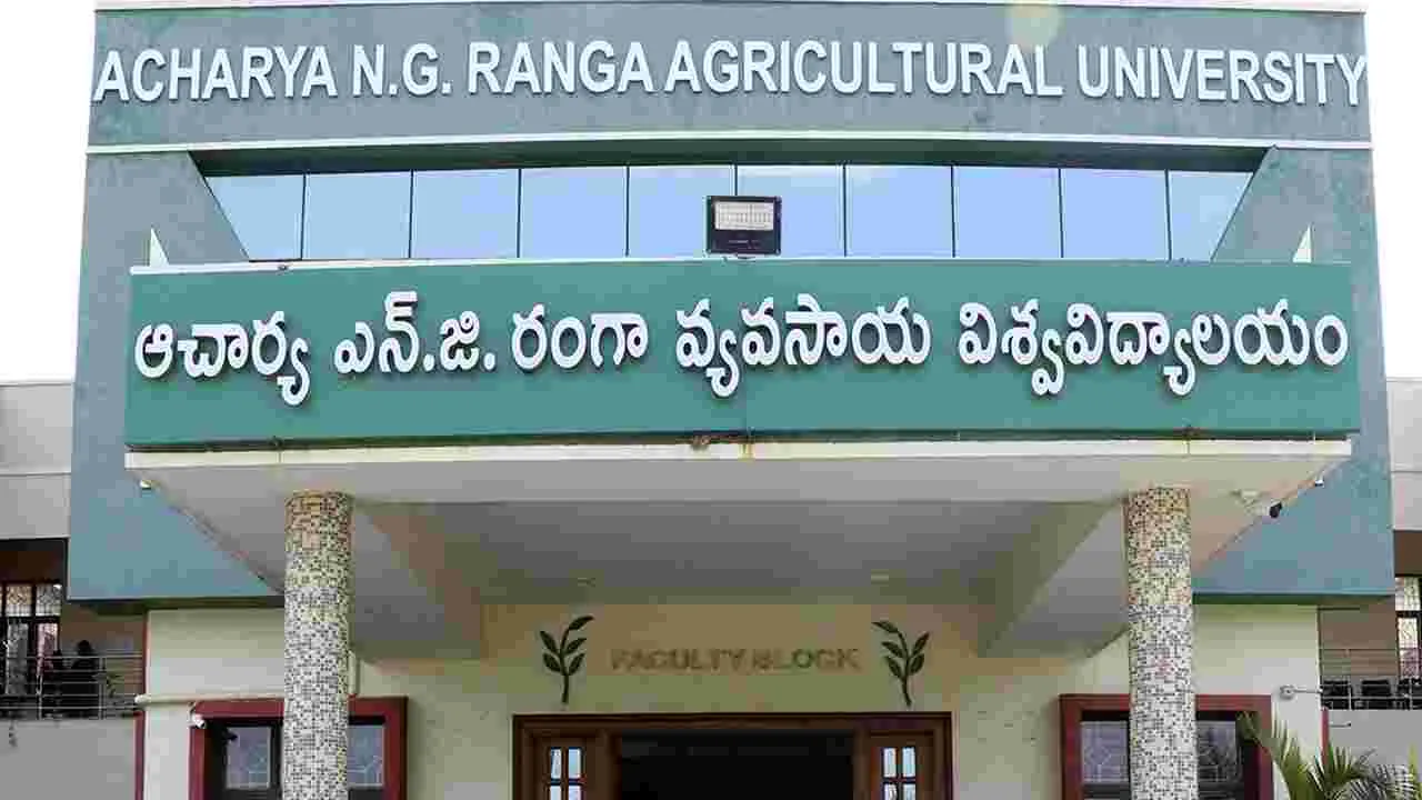 Organic Farming: రంగా వర్సిటీలో సర్టిఫికెట్‌ కోర్సులు