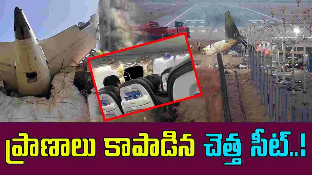 Seat 11A Survivor: అనేక మంది వద్దనుకునే సీట్లో కూర్చుని సేఫ్ అయిన అదృష్టవంతుడు.. ఎలాగో తెలుసా..