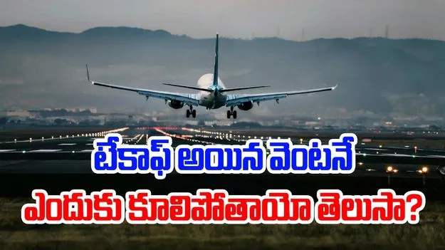 Plane Crash Reasons: విమానాలు టేకాఫ్ అయిన వెంటనే ఎందుకు కూలిపోతాయో తెలుసా?