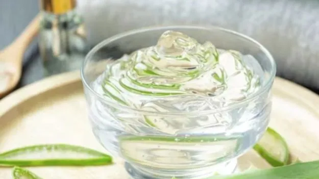 Aloe Vera: కలబంద వాడుతున్నారా.. ఈ తప్పులు  చేయకండి..