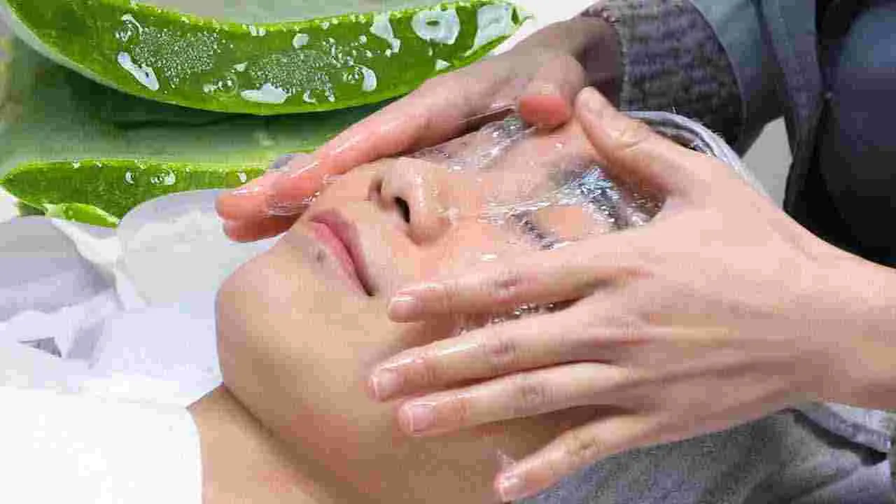 Beauty Tips: ముఖానికి కలబంద రాసుకుంటున్నారా.. అయితే ఈ తప్పులు అస్సలు చేయకండి.. 