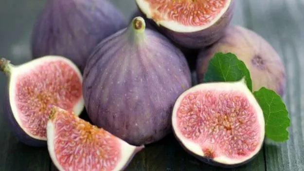 Angeer: ఉదయం ఖాళీ కడుపుతో 2 అంజీర పండ్లు తింటే..  5 అద్భుతమైన ప్రయోజనాలు.. 