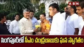 Chandrababu Naidu Singapore: సింగపూర్‌లో సీఎం చంద్రబాబుకు ఘన స్వాగతం.. ఆంధ్రాకు పెరిగిన ప్రతిష్ఠ