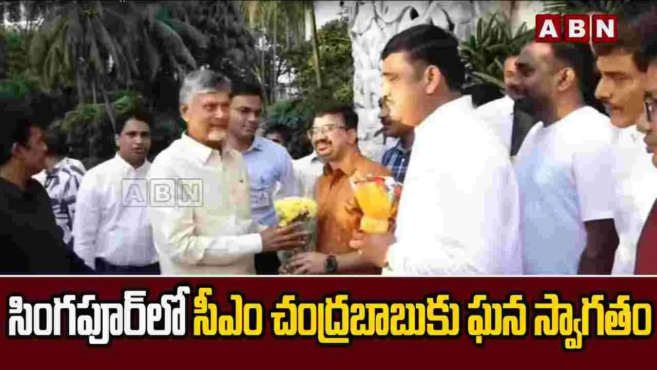 Chandrababu Naidu Singapore: సింగపూర్‌లో సీఎం చంద్రబాబుకు ఘన స్వాగతం.. ఆంధ్రాకు పెరిగిన ప్రతిష్ఠ
