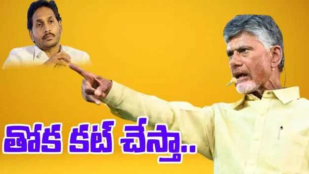 CM Chandrababu: శాంతిభద్రతలకు విఘాతం కలిగిస్తే తోక కట్ చేస్తా: సీఎం చంద్రబాబు..