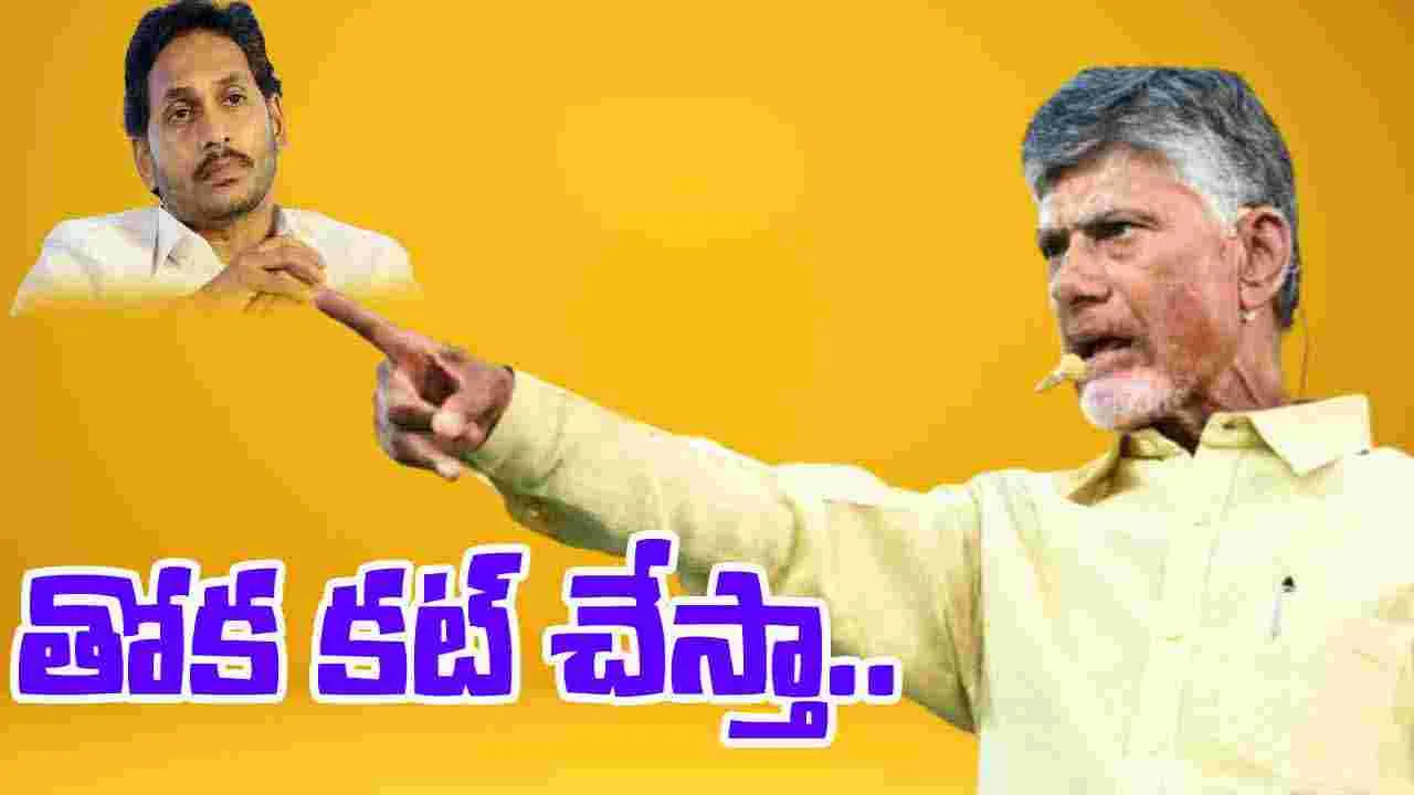 CM Chandrababu: శాంతిభద్రతలకు విఘాతం కలిగిస్తే తోక కట్‌ చేస్తా: సీఎం చంద్రబాబు..