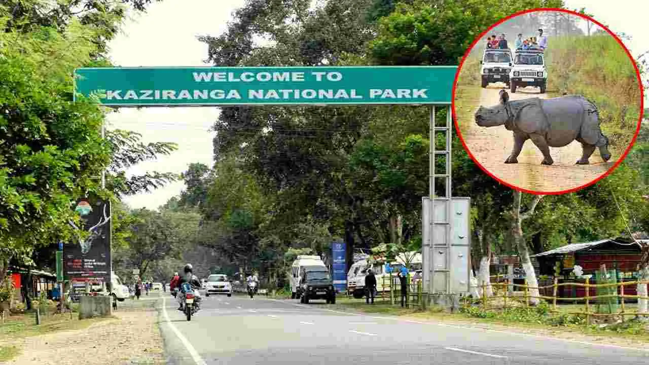 Wildlife Safari Tour: వణ్యప్రాణులను చూడటానికి దేశంలోని 5 ఉత్తమ ప్రదేశాలివే..