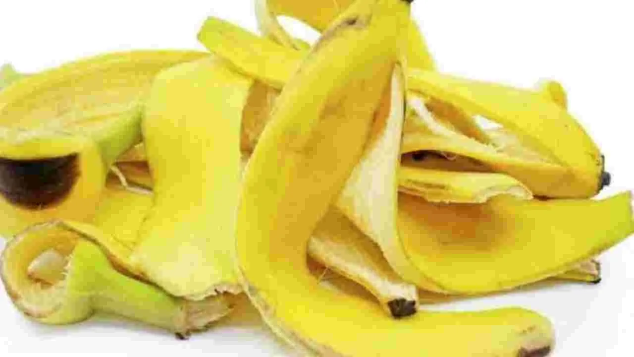 Banana Peel Benefits :  అరటిపండు తొక్క అందానికి నిధి.. ఎలా ఉపయోగించాలో తెలుసుకోండి..