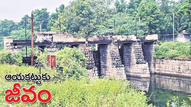 ఆయకట్టుకు జీవం