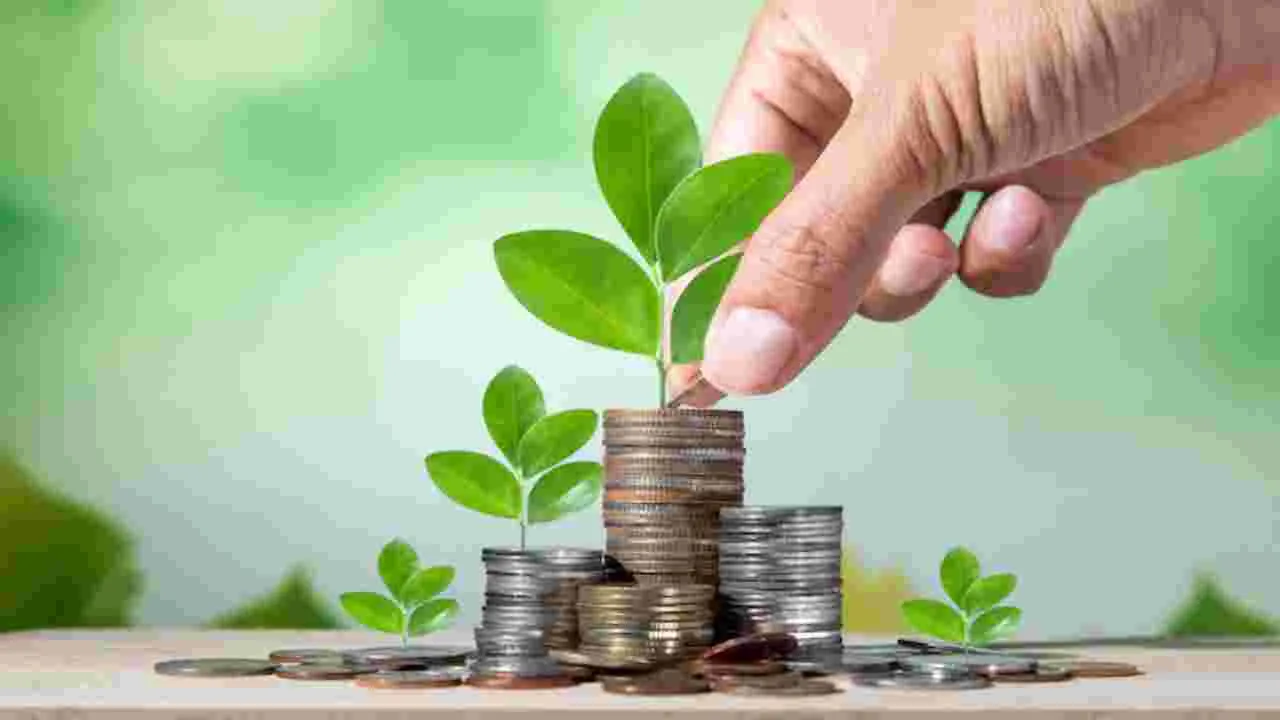 Best Investment Options: దీర్ఘకాలిక ఇన్వెస్ట్‌మెంట్ కోసం చూస్తున్నారా.. మీకున్న టాప్ 10 ఆప్షన్స్ ఇవే