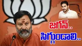 BJP vs YCP: బీజేపీ నేత భానుప్రకాశ్ రెడ్డి హాట్ కామెంట్స్..