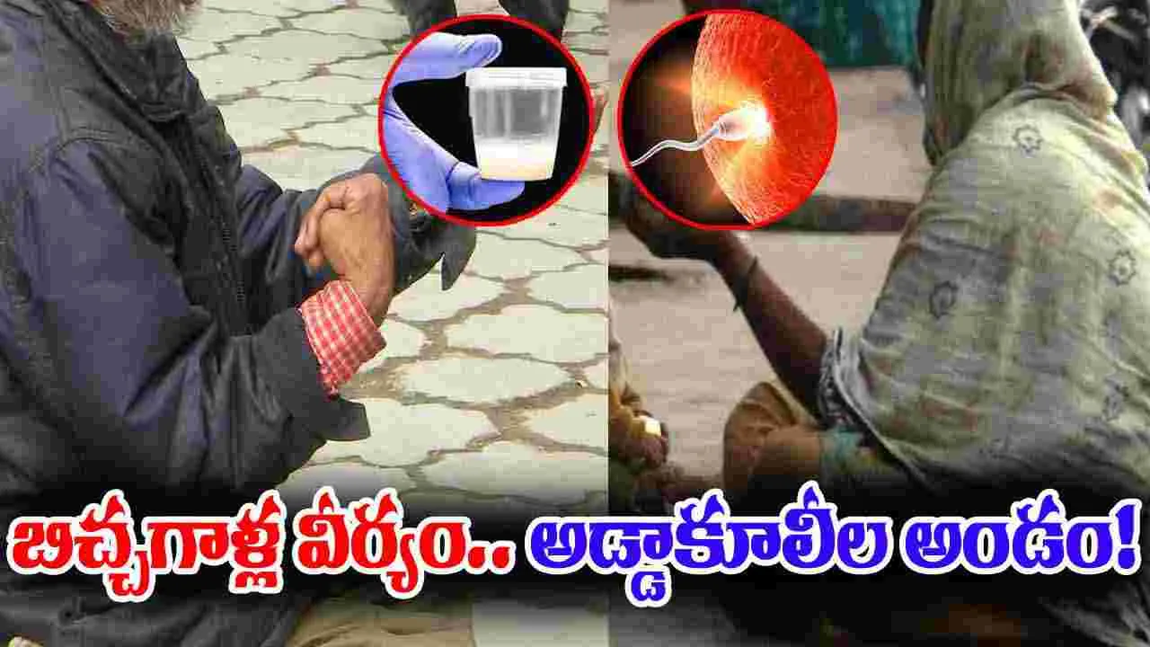 Sperm Donation: బిర్యానీ పొట్లం, మందు బాటిల్‌‌‌తో ఎర.. చివరకు.. 