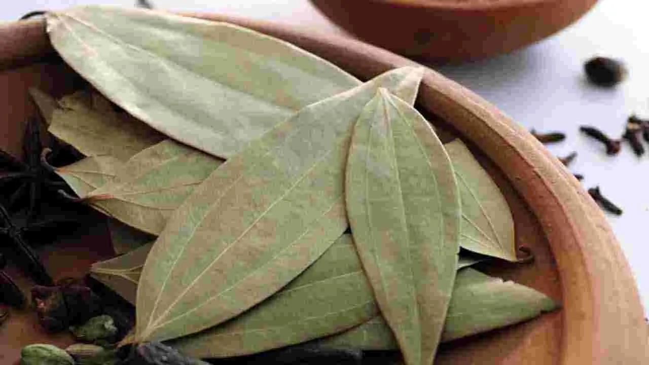 Health Tips: షుగర్ లెవల్స్ పెరిగిపోతున్నాయా.. అయితే వెంటనే ఈ 5 ఆకుకూరలు తినండి చాలు..