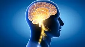 Brain Damaging Foods: న్యూరోసర్జన్ల హెచ్చరిక.. ఈ ఫుడ్స్ తింటే మీ బ్రెయిన్ ఖతం