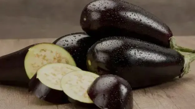 Brinjal in Monsoon: వర్షాకాలంలో వంకాయలు.. ఆరోగ్యానికి మంచివేనా?