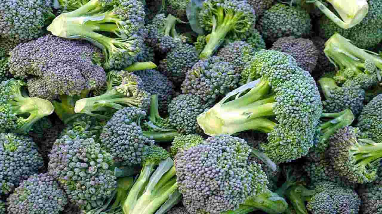 Health Tips: క్యాన్సర్ ప్రమాదాన్ని తగ్గించే.. 5 ఆహారాలివే.. 