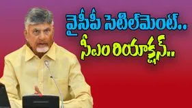 ABN Effect: వైసీపీ సెటిల్‌‌మెంట్.. సీఎం చంద్రబాబు రియాక్షన్