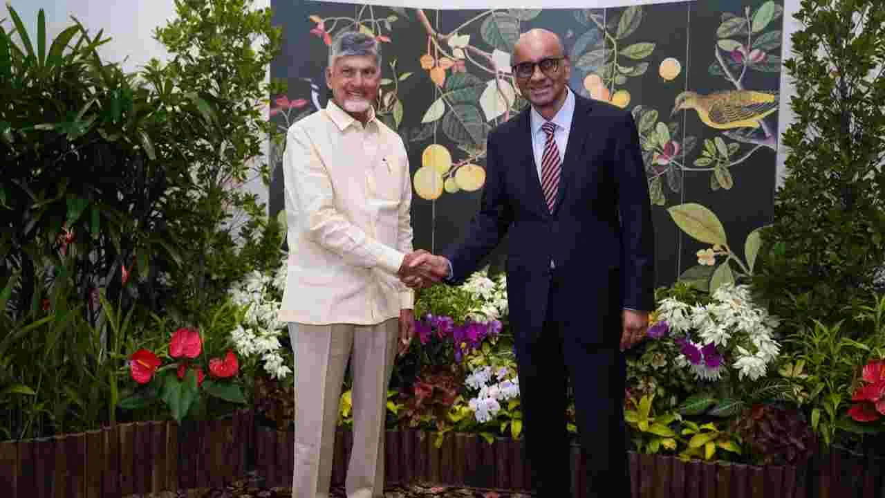 CM Chandrababu : విశాఖలో త్వరలోనే గూగుల్ డేటా సెంటర్ ఏర్పాటు