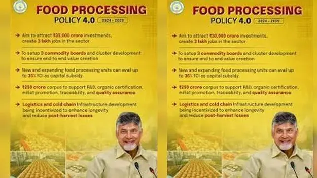 Andhra Pradesh: ఫుడ్‌ ప్రాసెసింగ్‌ పాలసీకి సవరణలు 