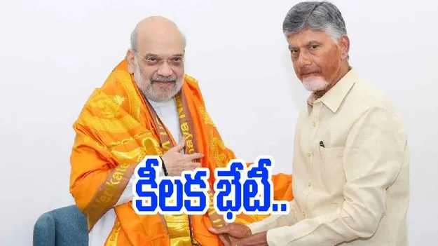 Chandrababu: కేంద్ర హోం మంత్రి అమిత్ షాతో సీఎం చంద్రబాబు భేటీ