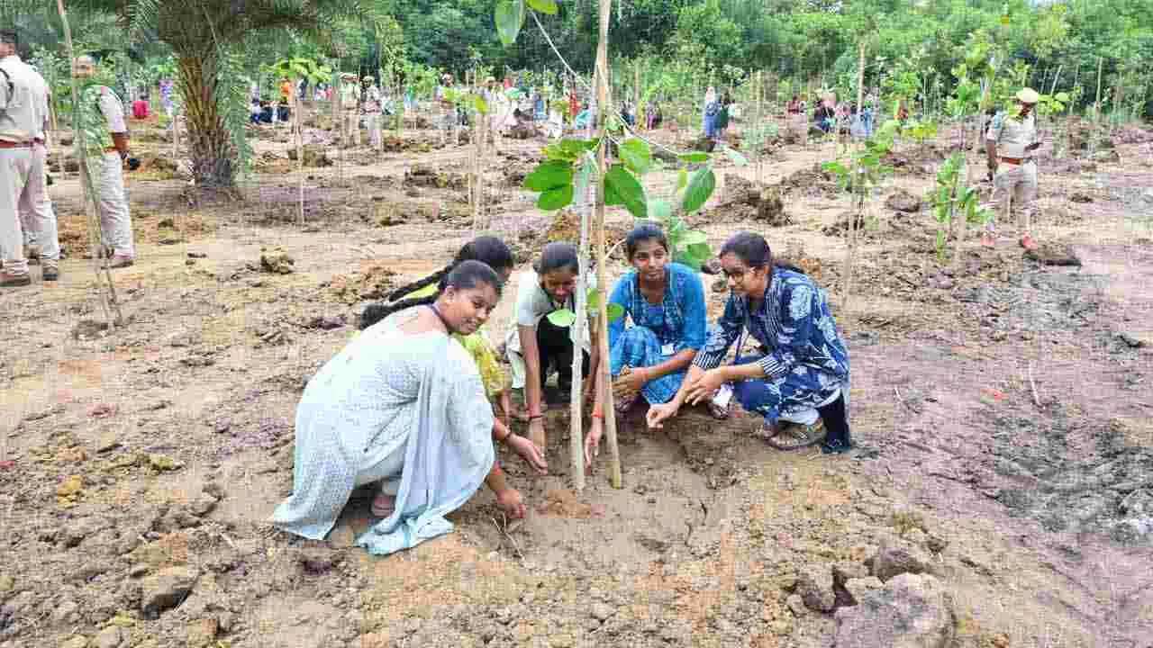 Vana Mahotsavam: ఆచార్య జయశంకర్ తెలంగాణ రాష్ట్ర వ్యవసాయ విశ్వవిద్యాలయంలో వన మహోత్సవం