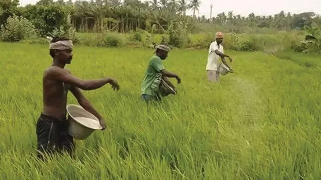 AP GDP: రాష్ట్ర జీడీపీలో వ్యవసాయ, అనుబంధ రంగాలే కీలకం