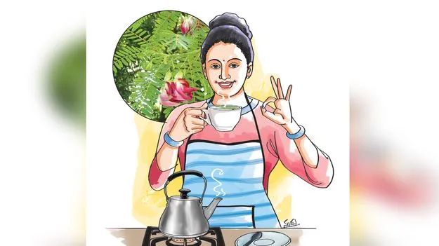 Agastya Leaf Benefits: అలసటకు విరుగుడు అవిసె ఆకుల టీ