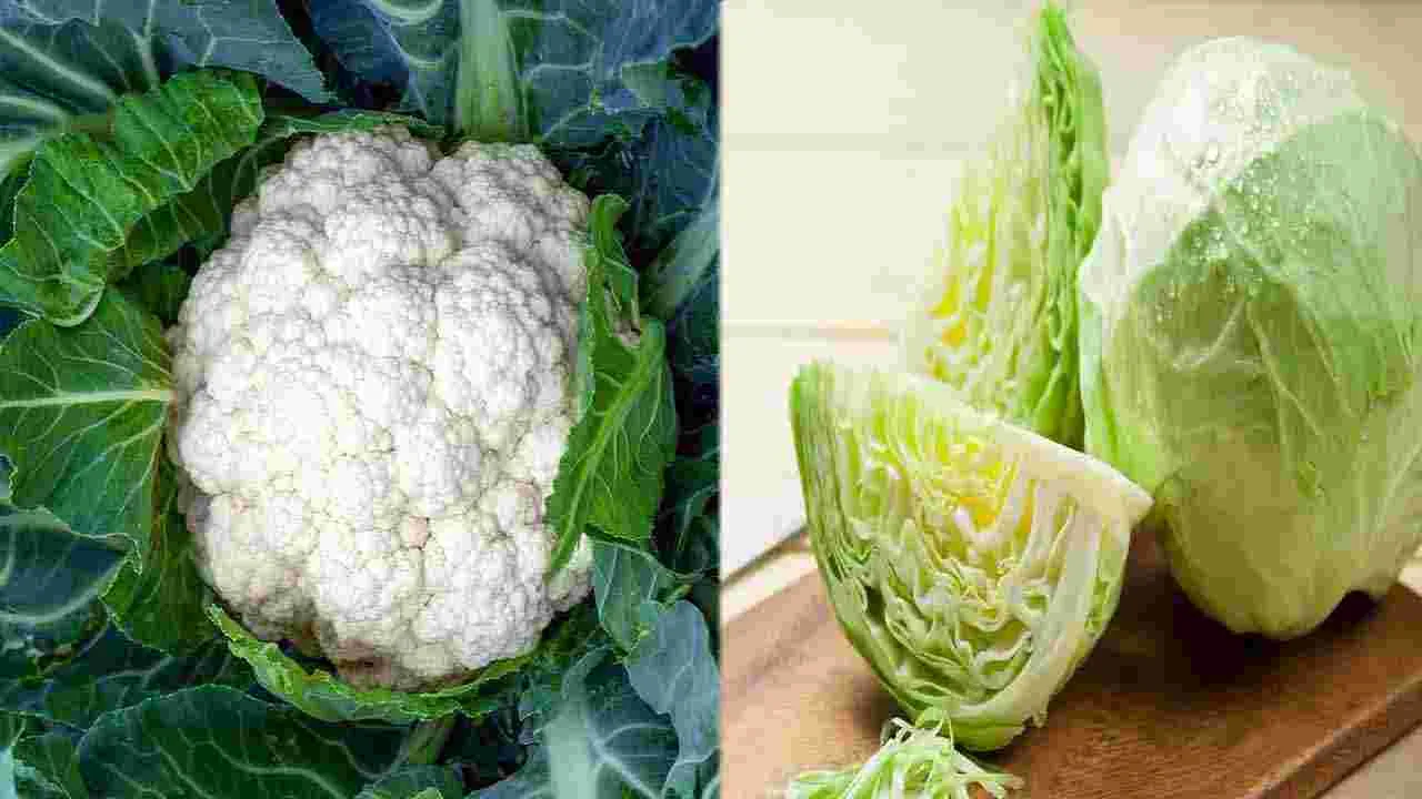 Monsoon Health Tips: వర్షాకాలంలో ఈ కూరగాయలు కొంటున్నారా.. అయితే జాగ్రత్త..