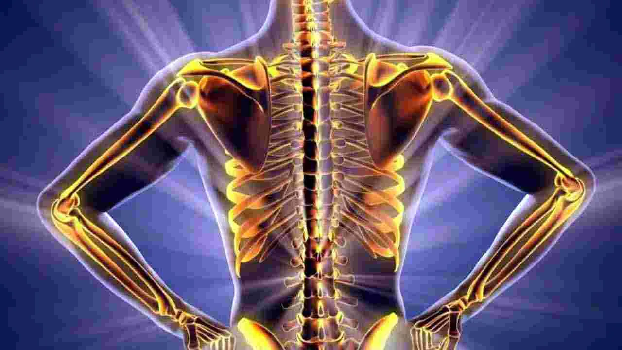 Health Tips: ఈ పండును రోజుకు ఒకసారి తింటే.. వ్యాధులన్నీ పరారవ్వాల్సిందే.. 